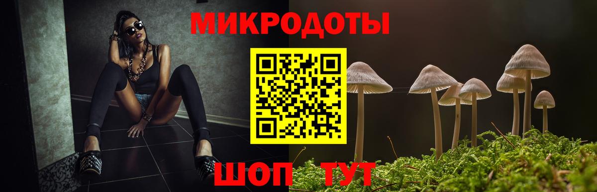 Псилоцибиновые грибы Psilocybe  Вход с VPN  Троицк 