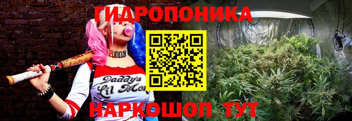 Шишки марихуана индика  Шишки марихуана THC 21%  Троицк  Вход с VPN 